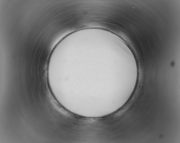 X0000115640814200912221309