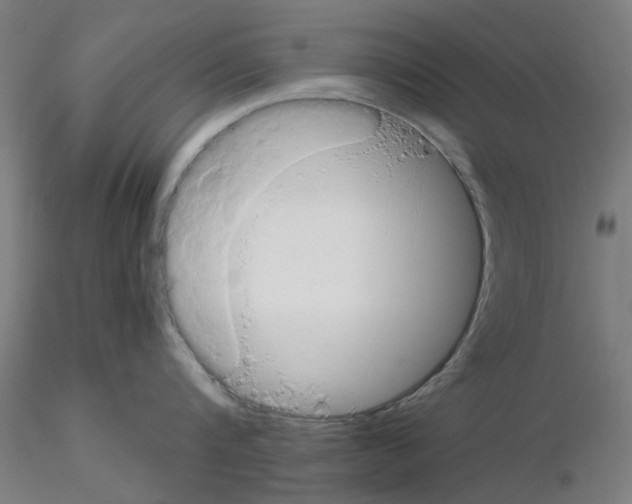 X0000115640816200912221309