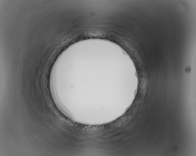X0000115640817200912221308