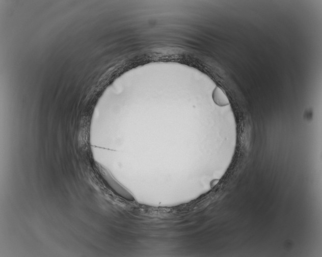 X0000115640819200912221308