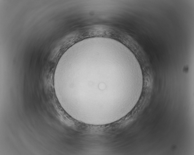 X0000115640820200912221308