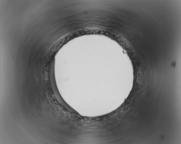 X0000115640821200912221308