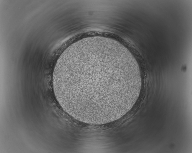 X0000115640822200912221308