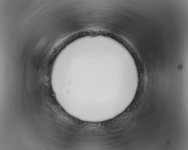 X0000115640823200912221308