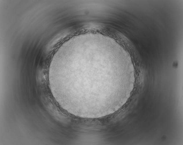 X0000115640824200912221308