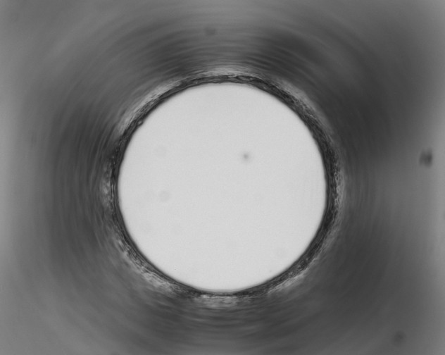 X0000115640825200912221308
