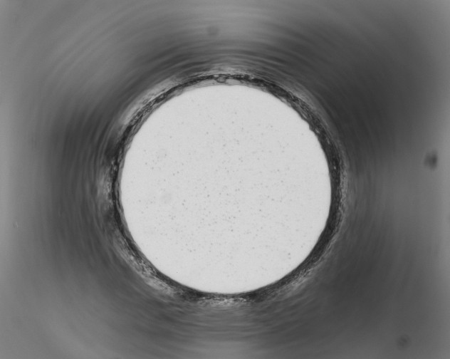 X0000115640826200912221308