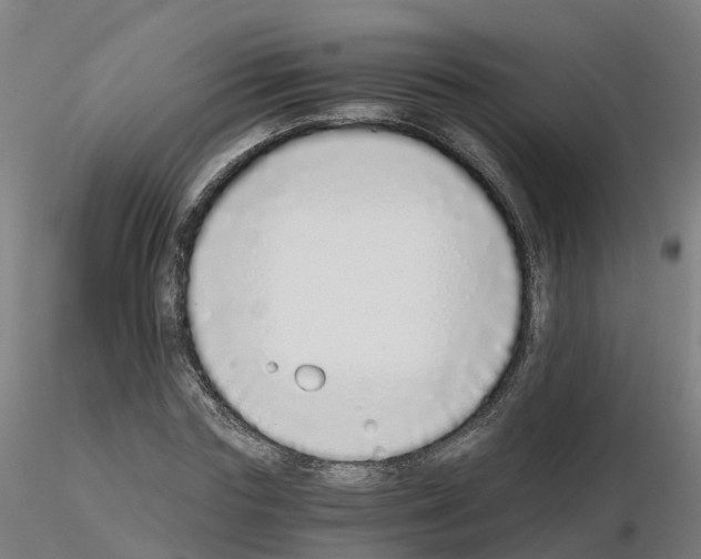 X0000115640827200912221308