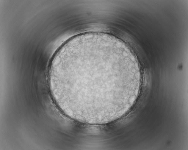 X0000115640828200912221308