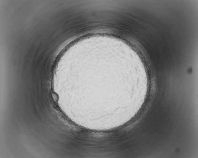 X0000115640829200912221308