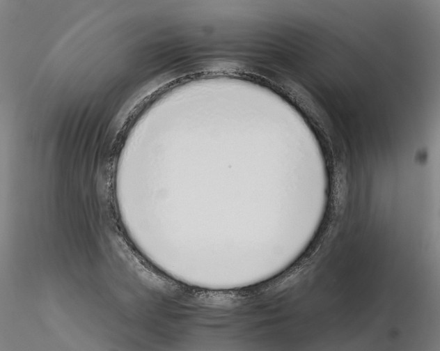 X0000115640831200912221308