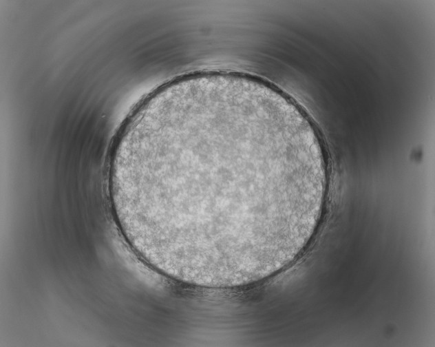 X0000115640832200912221308