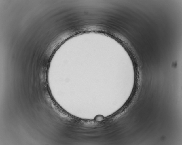 X0000115640833200912221308