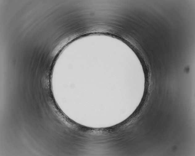 X0000115640834200912221308