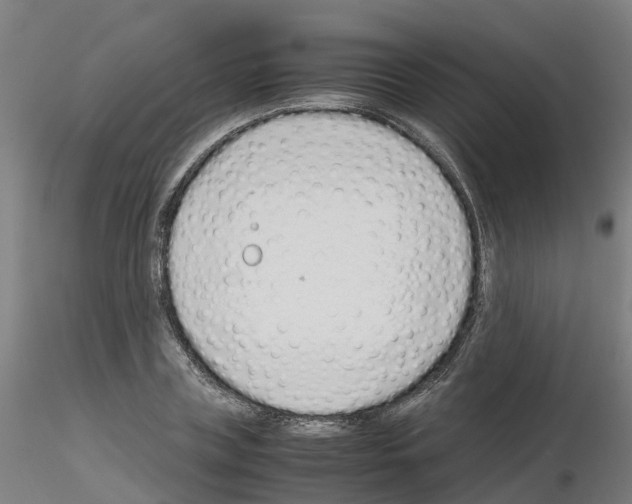 X0000115640835200912221308