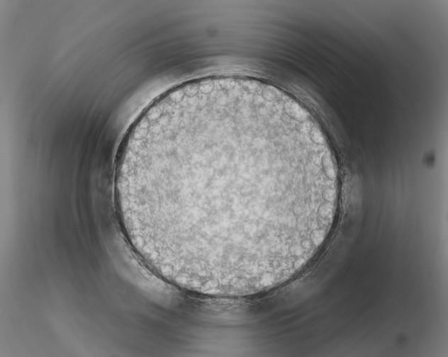 X0000115640836200912221308