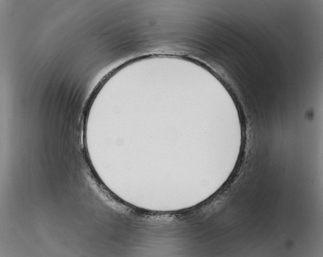 X0000115640838200912221308