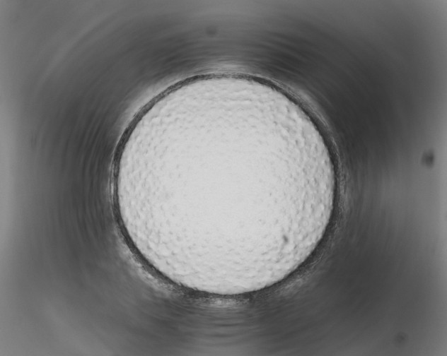 X0000115640839200912221308