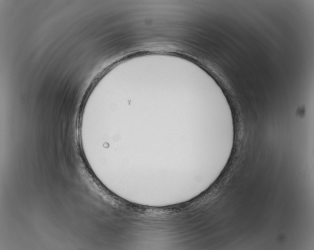 X0000115640840200912221308