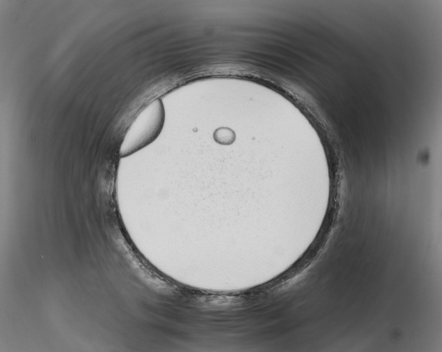 X0000115640841200912221308
