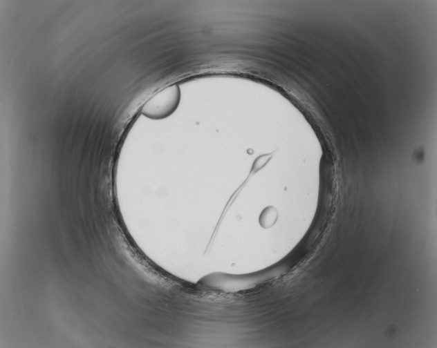 X0000115640842200912221308