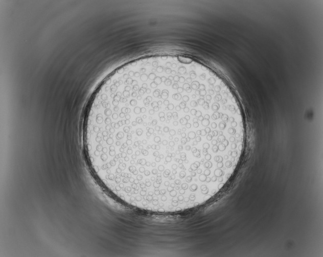 X0000115640843200912221308