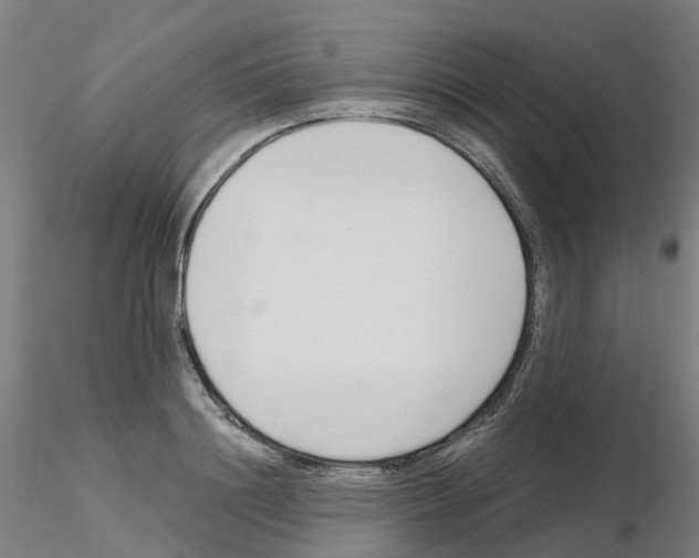 X0000115640844200912221308