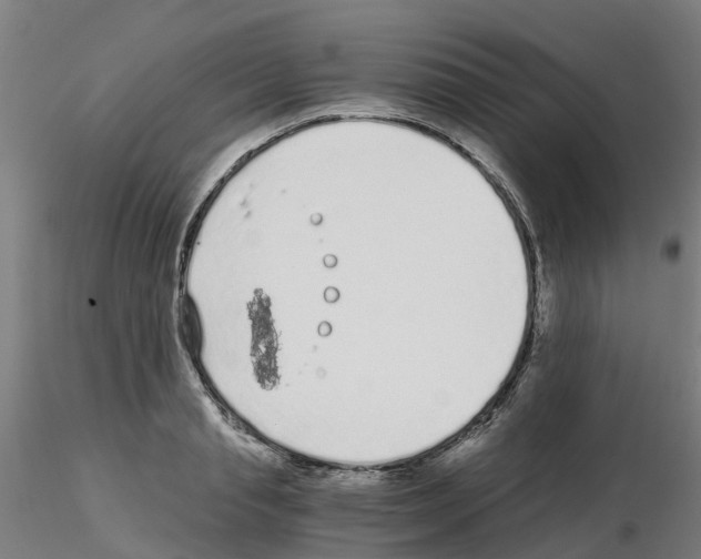 X0000115640845200912221308