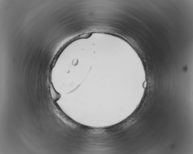 X0000115640846200912221308