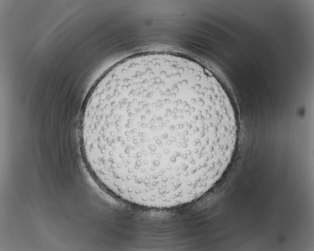 X0000115640847200912221308