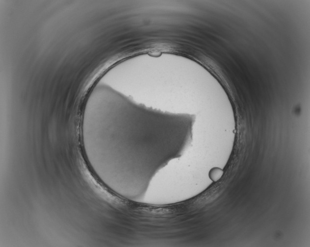 X0000115640851200912221308