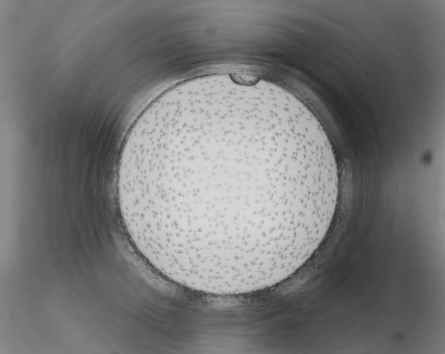 X0000115640852200912221308