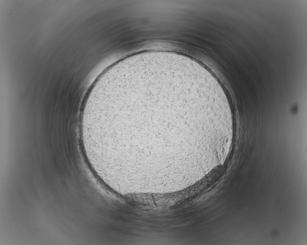X0000115640853200912221308