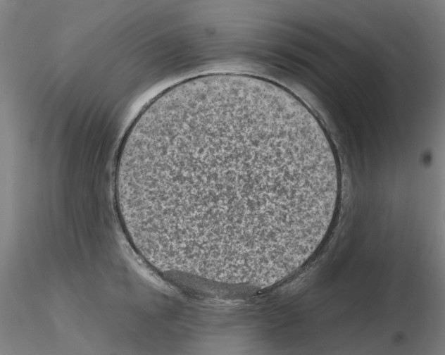X0000115640854200912221308