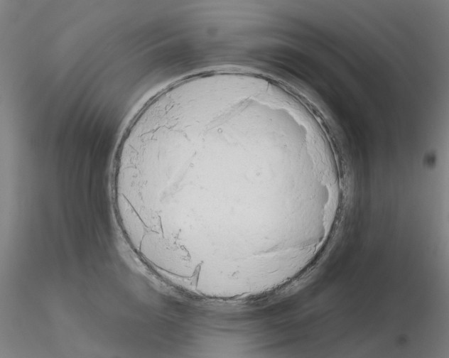 X0000115640856200912221308