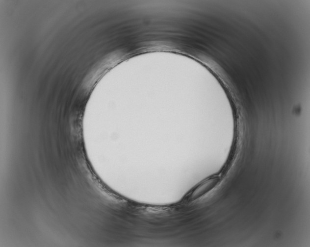 X0000115640857200912221308