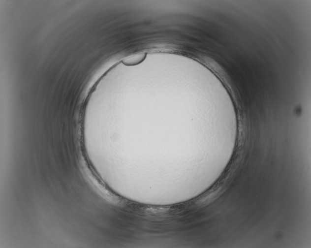 X0000115640859200912221309