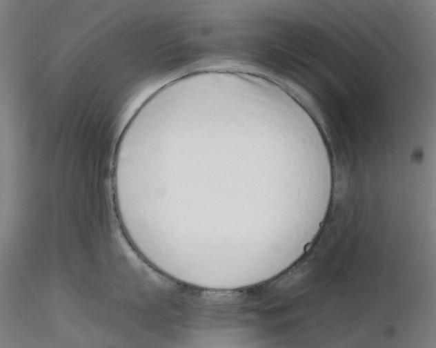 X0000115640863200912221309