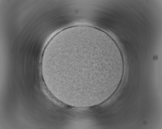 X0000115640864200912221309