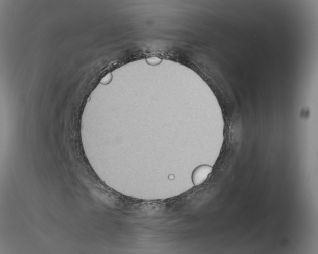 X0000115640865200912221308