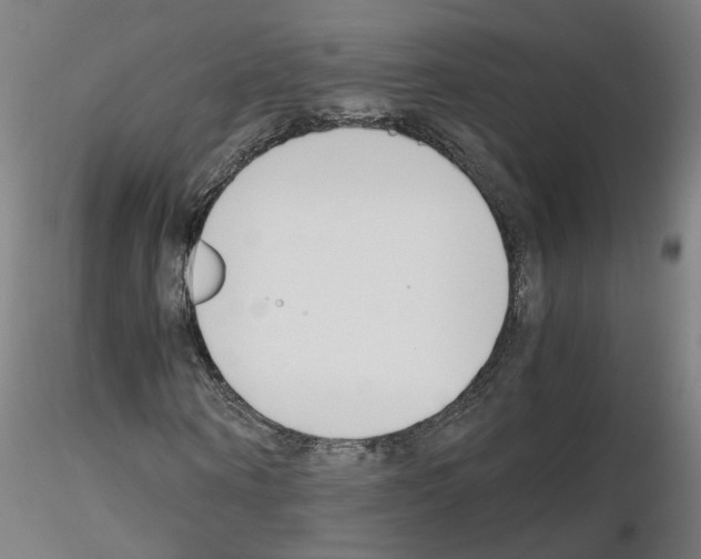 X0000115640866200912221308