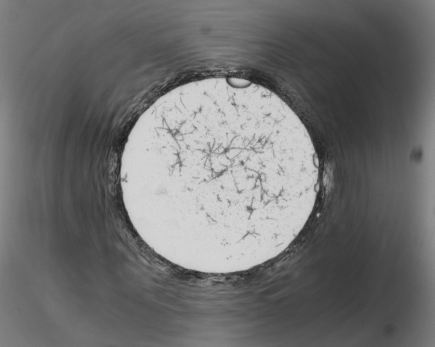 X0000115640867200912221308
