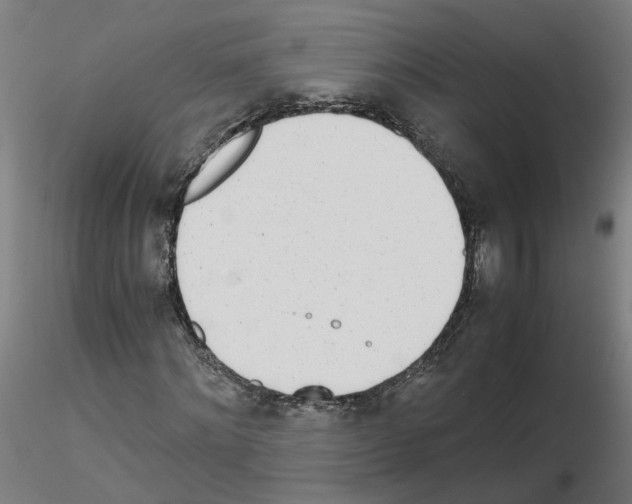 X0000115640868200912221308