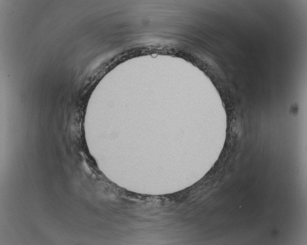 X0000115640869200912221308