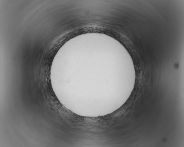 X0000115640870200912221308
