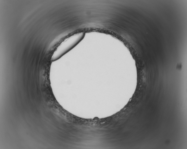 X0000115640872200912221308