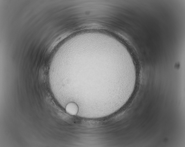 X0000115640873200912221308