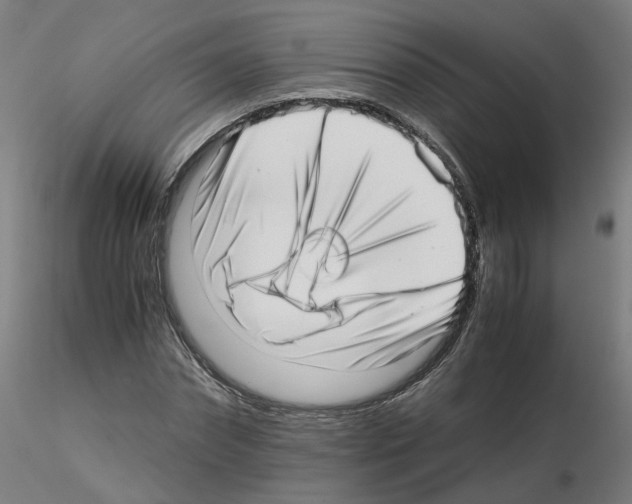 X0000115640874200912221308