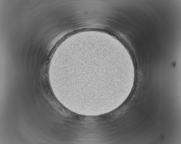 X0000115640875200912221308
