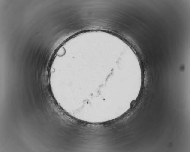X0000115640876200912221308